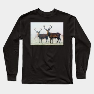 Red Deer Stags in Mist Long Sleeve T-Shirt